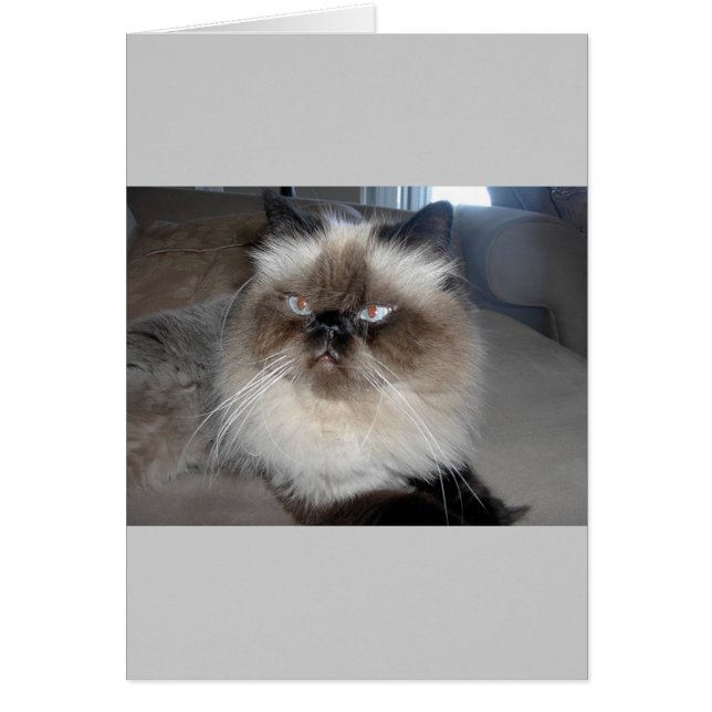 ヒマラヤ (正面)