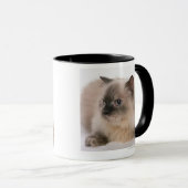 ヒマラヤ マグカップ (正面右)