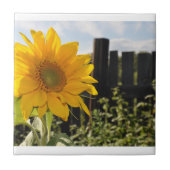 ヒマワリおよび塀 タイル (正面)