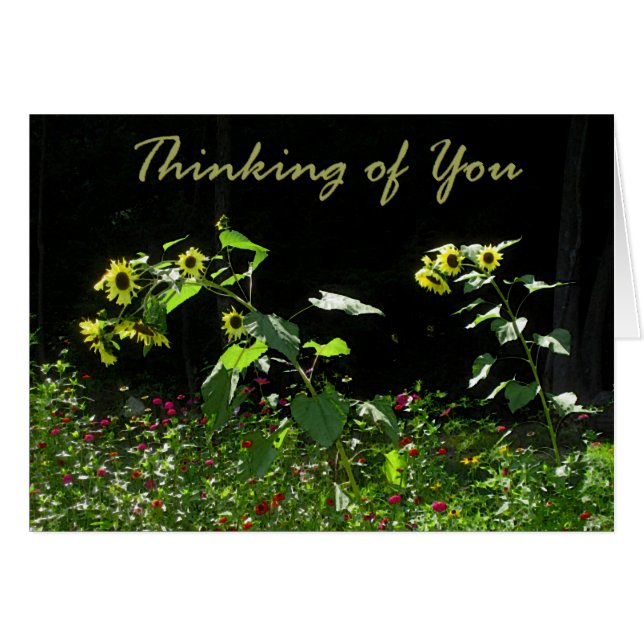 ヒマワリおよび野生の花 (正面横)