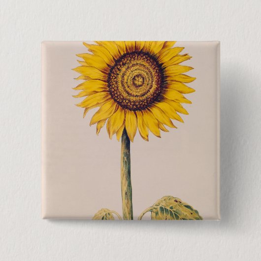 ヒマワリかHelianthus 缶バッジ (正面)