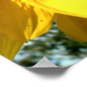 ヒマワリで閉ざされた花 ポスター (角)