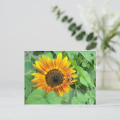 ヒマワリとのまわりに ポストカード (スタンド正面)