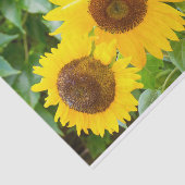 ヒマワリとの猫の悔やみや弔慰 薄葉紙 (詳細)