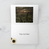 ヒマワリとアパロオーサの馬 カード (内部)