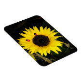 ヒマワリとヒマワムシ二匹 マグネット (右側)