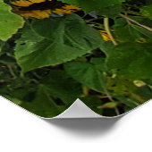 ヒマワリと朝顔写真追加引用文 ポスター (角)