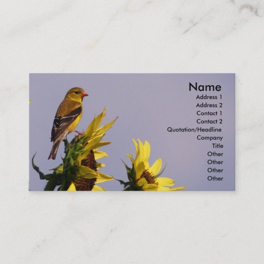 ヒマワリのアメリカのGoldfinch 名刺 (正面)