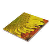 ヒマワリのセラミックタイル タイル (側面)