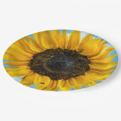 ヒマワリのテントウムシ ペーパープレート (アングル)