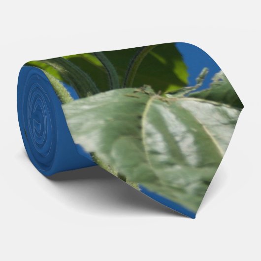 ヒマワリのネクタイ ネクタイ (ロール)