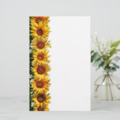 ヒマワリのボーダー文房具 便箋 (スタンド正面)