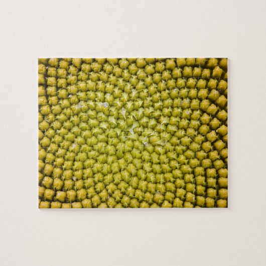 ヒマワリの中心 ジグソーパズル (横)