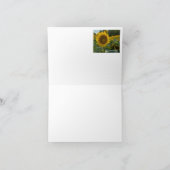 ヒマワリの分野 ノートカード (内部)