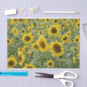 ヒマワリの分野 薄葉紙 (クラフト)