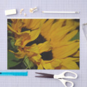 ヒマワリの包装紙 薄葉紙 (クラフト)
