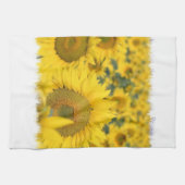 ヒマワリの台所タオルの分野 キッチンタオル (横)