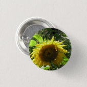 ヒマワリの園芸ボタン 缶バッジ (正面&裏面)