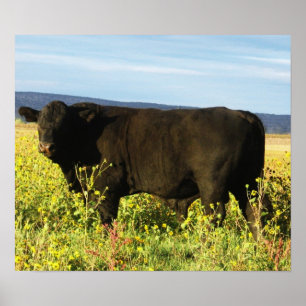 ヒマワリの大きな黒い牡牛 – Toro - Taurus ポスター
