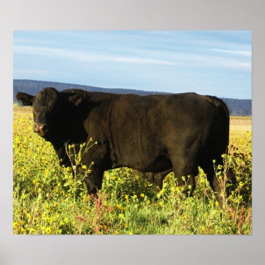 ヒマワリの大きな黒い牡牛 – Toro - Taurus ポスター (正面)