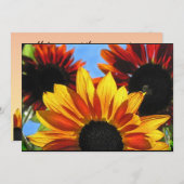 ヒマワリの庭の夏至のパーティの招待状 招待状 (正面/裏面)