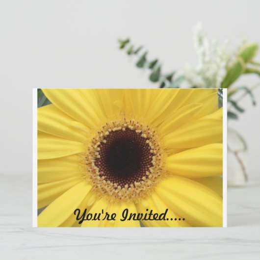 ヒマワリの招待状 招待状 (スタンド正面)