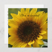 ヒマワリの招待 招待状 (正面/裏面)