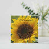 ヒマワリの招待 招待状 (スタンド正面)