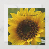 ヒマワリの招待 招待状 (正面)