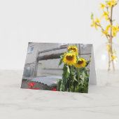 ヒマワリの挨拶 カード (黄色い花)
