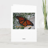 ヒマワリの日光日 カード (裏面)