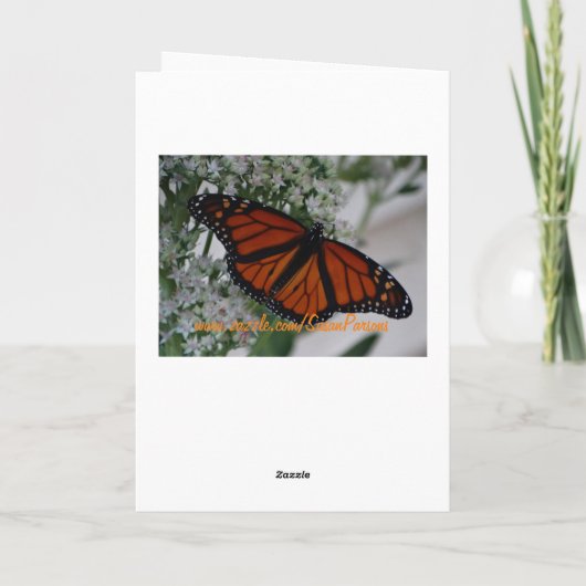 ヒマワリの日光日 カード (裏面)