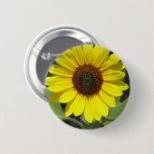 ヒマワリの植物の円形ボタン 缶バッジ (正面&裏面)