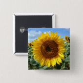 ヒマワリの正方形のバッジ 缶バッジ (正面&裏面)