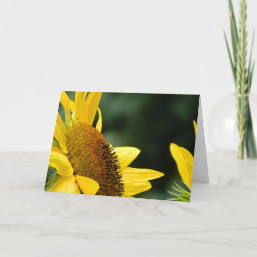 ヒマワリの空白のな挨拶状 カード (正面)