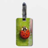 ヒマワリの茎のテンジウムシ ラゲッジタグ (裏面縦)