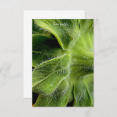 ヒマワリの茎毛がアップに近い ノートカード (正面/裏面)