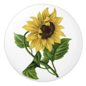 ヒマワリの茎 セラミックノブ (正面)