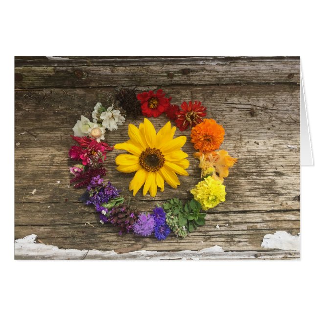 ヒマワリの虹カード (正面横)