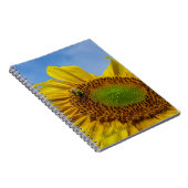 ヒマワリの蜂 ノートブック (右側)