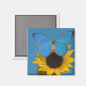 ヒマワリの蝶 マグネット (正面/裏面)