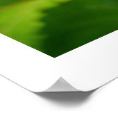 ヒマワリの赤い蝶 ポスター (角)