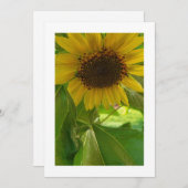 ヒマワリの輝き:カスタム招待状 招待状 (正面/裏面)