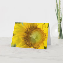 ヒマワリの金ゴールドの影