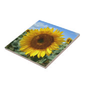 ヒマワリの陶磁器の写真のタイル タイル (側面)