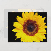 ヒマワリの黄色い花 ポストカード (正面/裏面)