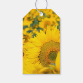 ヒマワリの黄色のフィールド写真ありがとう ギフトタグ (裏面)