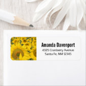 ヒマワリの黄色のフィールド写真 ラベル (インサイチュ)