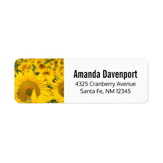 ヒマワリの黄色のフィールド写真 ラベル (正面)