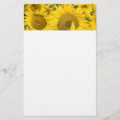 ヒマワリの黄色のフィールド写真 便箋 (正面)